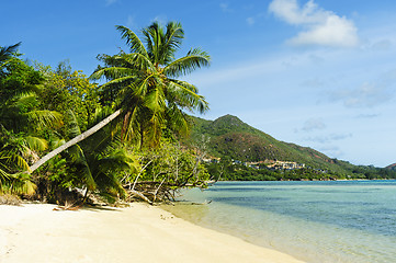 Image showing Tropical island