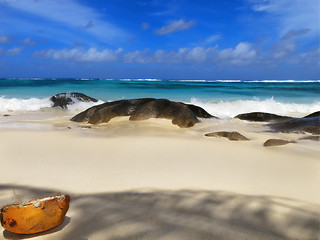 Image showing Tropical beach