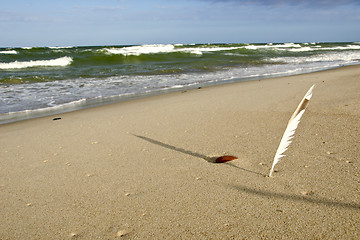 Image showing Quill planted into coastal sea sand and its shadow