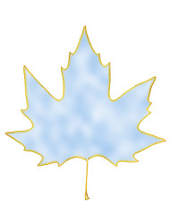 Image showing sky in a maple leaf