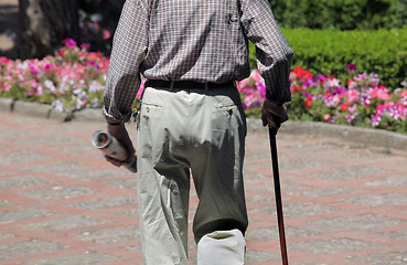 Image showing Portrait of senior man walking  in park 