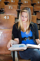 Image showing College Girl Studying