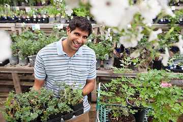 Image showing Man holding rack of potted plants