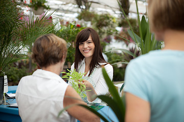 Image showing Garden Center Cashier Line