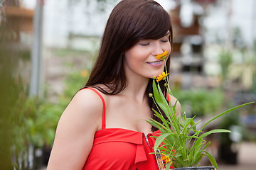 Image showing Woman smelling flower