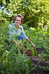 Image showing Senior Woman in Garden