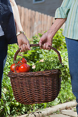 Image showing Women holding basket filled with vegetables