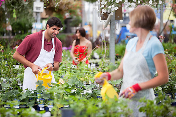 Image showing People working at greenhouse