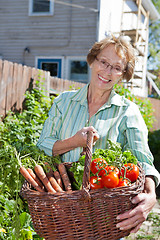 Image showing Senior woman holding basket full of vegetables