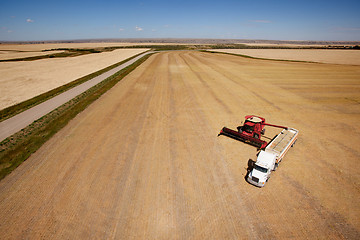 Image showing Harvest Aerial