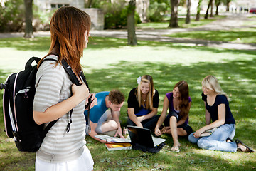 Image showing University Students Study Group