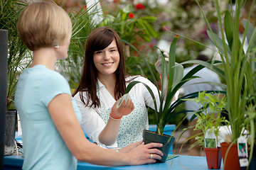 Image showing Worker and Customer in Greenhouse