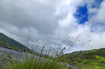 Image showing irish landscape