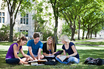 Image showing College students studying together