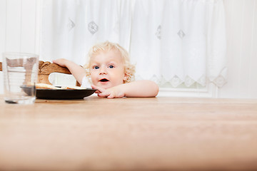 Image showing Baby reaching for food