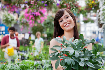 Image showing Attractive female customer holding potted plant