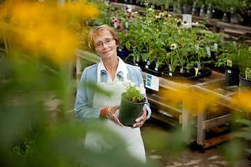 Image showing Senior Worker in Garden Center