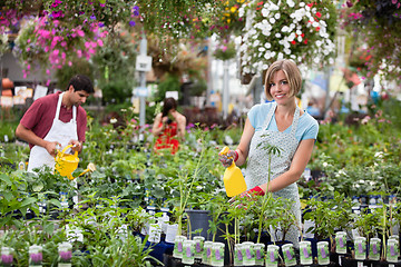 Image showing Workers at greenhouse