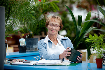 Image showing Senior Woman Cashier in Garden Center