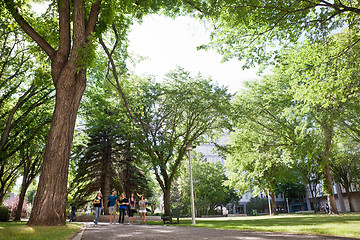 Image showing Group of University Students Walking on Campus