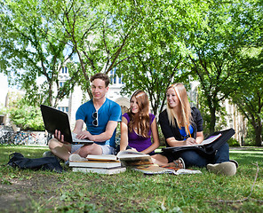 Image showing Teenagers studying on campus lawn