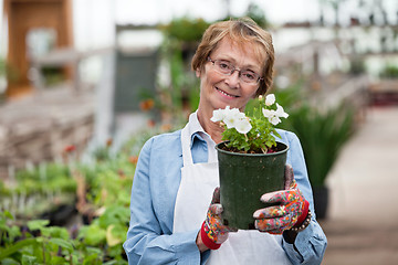 Image showing Senior woman holding flower pot