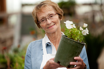 Image showing Senior Woman Holding Potted Plant