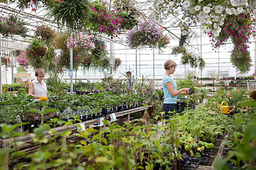 Image showing People at garden centre