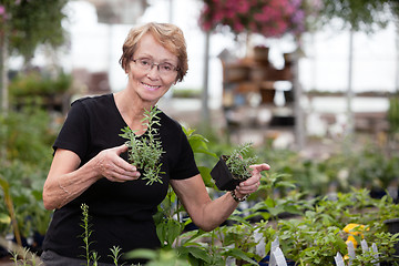 Image showing Woman holding potted plants