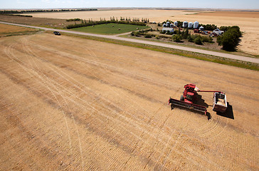 Image showing Harvest and Farm