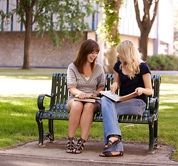 Image showing University Girls Studying Outdoors
