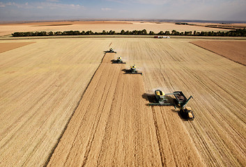 Image showing Aerial View of Harvest