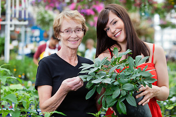 Image showing Young woman with her grandmother