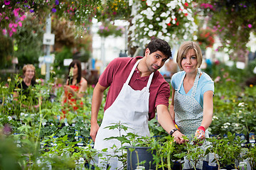 Image showing Florists at greenhouse