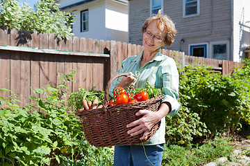 Image showing Senior Woman with Vegetables from Garden