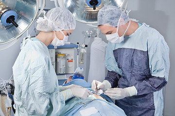 Image showing Surgeon operating the patient