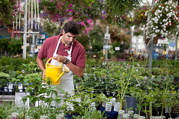 Image showing Man watering plants