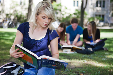 Image showing Students studying in campus