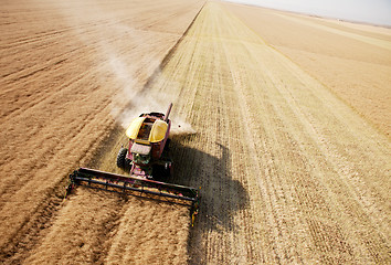 Image showing Aerial View of Harvest in Field