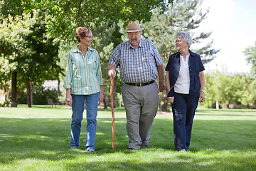 Image showing Senior Friends Walking in Park