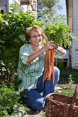 Image showing Senior woman holding carrots