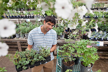 Image showing Man buying potted plants