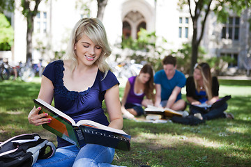 Image showing Students reading books