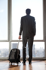 Image showing Businessman Holding Luggage