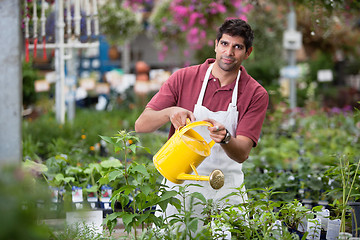 Image showing Young Man Watering Plants