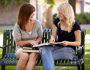 Image showing Students Outdoor Study