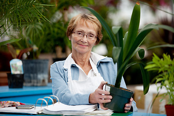 Image showing Senior Woman Working