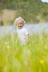 Image showing Young Child in Tall Grass
