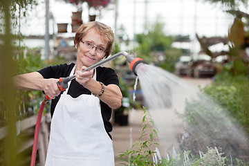 Image showing Senior Greenhouse Worker