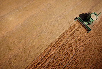 Image showing Harvest